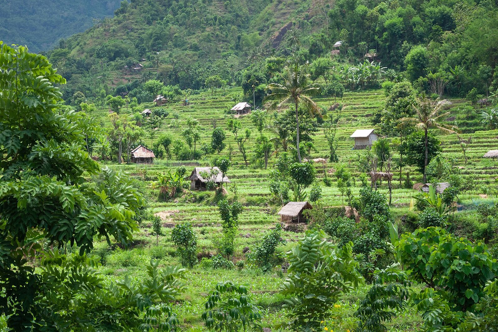 Built for the places that need it most — RT/RW Net connectivity for communities like Desa Sukaraja.